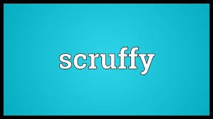 APPEARANCE VOCABULARY 1 APPEARANCE VOCABULARY