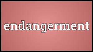 DANGER VOCABULARY 1 DANGER VOCABULARY
