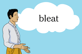 SOUND VOCABULARY 1 SOUND VOCABULARY