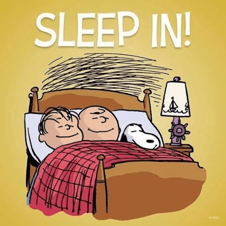 SLEEP VOCABULARY 1 SLEEP VOCABULARY