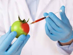 FOOD SECURITY & AGRICULTURE VOCABULARY 2 FOOD SECURITY & AGRICULTURE VOCABULARY