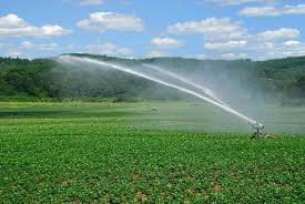 FOOD SECURITY & AGRICULTURE VOCABULARY 11 FOOD SECURITY & AGRICULTURE VOCABULARY