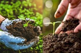 FOOD SECURITY & AGRICULTURE VOCABULARY 3 FOOD SECURITY & AGRICULTURE VOCABULARY