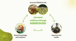 FOOD SECURITY & AGRICULTURE VOCABULARY 5 FOOD SECURITY & AGRICULTURE VOCABULARY