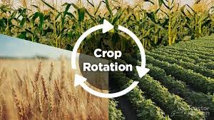FOOD SECURITY & AGRICULTURE VOCABULARY 9 FOOD SECURITY & AGRICULTURE VOCABULARY