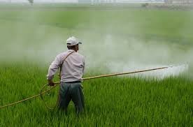 FOOD SECURITY & AGRICULTURE VOCABULARY 10 FOOD SECURITY & AGRICULTURE VOCABULARY