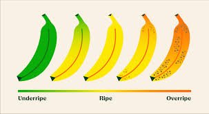 VOCABULARY TO DESCRIBE FRUITS