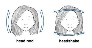 BODY LANGUAGE VOCABULARY