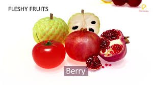 VOCABULARY TO DESCRIBE FRUITS