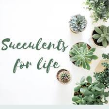 VOCABULARY TO DESCRIBE FRUITS