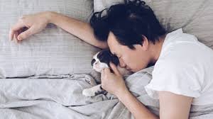 SLEEP VOCABULARY 10 SLEEP VOCABULARY