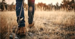 IELTS VOCABULARY FOR WALKING 2 IELTS VOCABULARY FOR WALKING