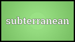 GEOGRAPHY VOCABULARY 12 GEOGRAPHY VOCABULARY