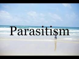 ECOLOGY VOCABULARY 6 ECOLOGY VOCABULARY