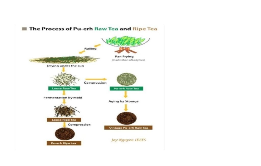 BEST IELTS Academic Writing Task 1, 7th August