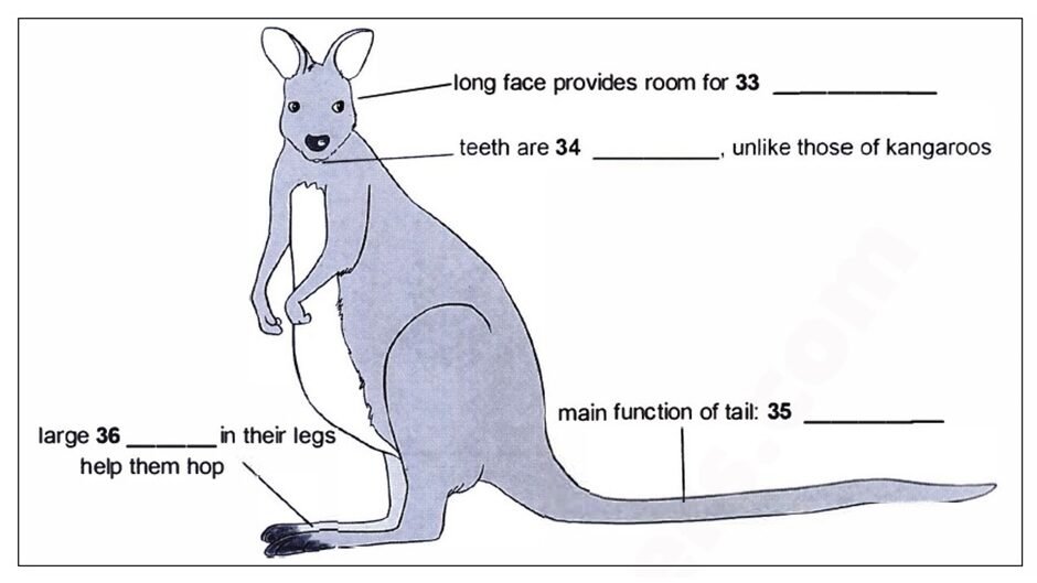 BEST IELTS Academic Reading Test 583