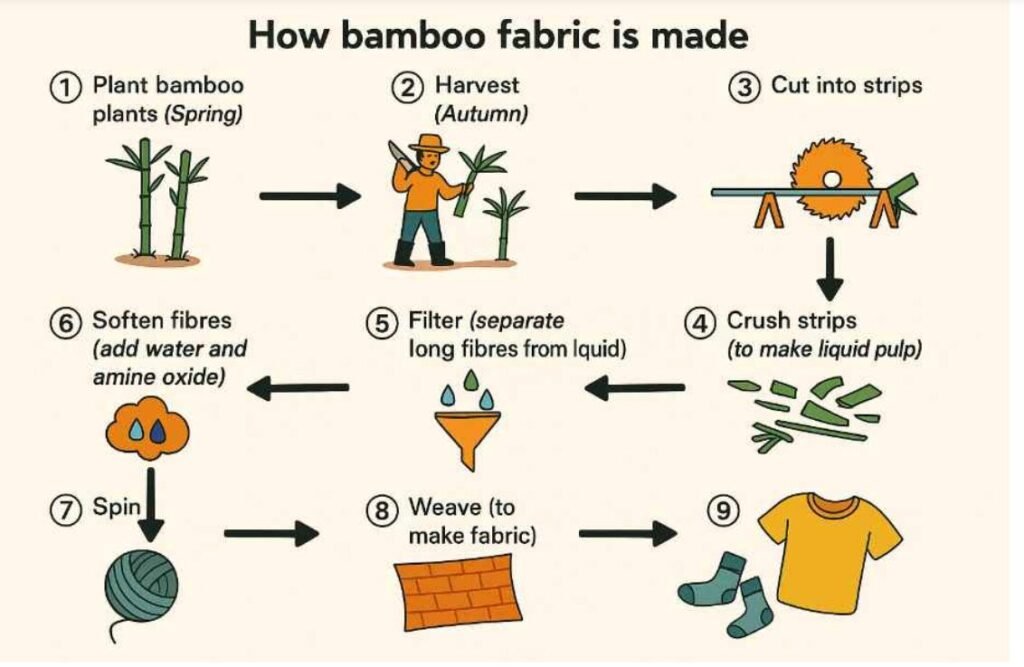 BEST IELTS Academic Writing Task 1, 4th August 2 BEST IELTS Academic Writing Task 1, 4th August