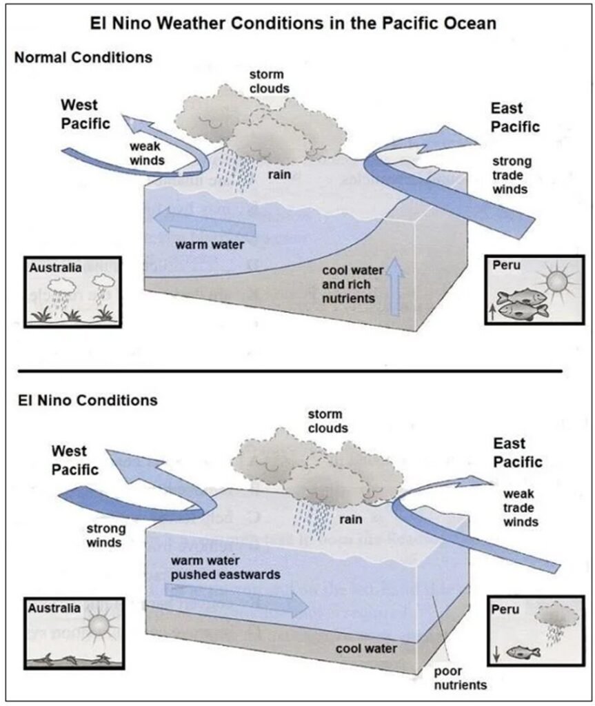 BEST IELTS Academic Writing Task 1, 16th August 2 BEST IELTS Academic Writing Task 1, 16th August