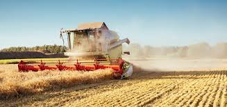 AGRICULTURE VOCABULARY 3 AGRICULTURE VOCABULARY