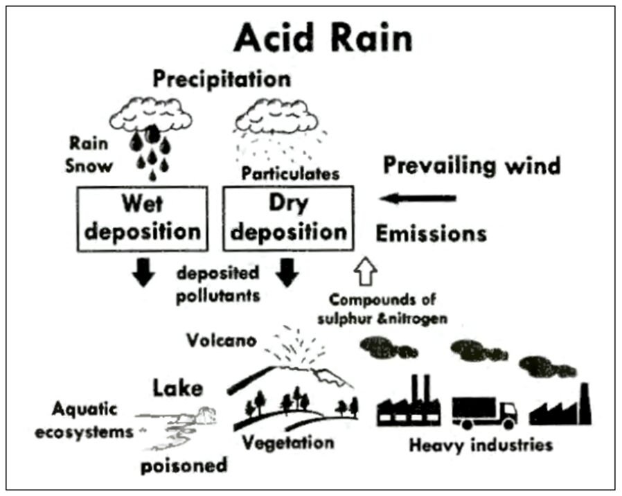 BEST IELTS Academic Writing Task 1, 24th September