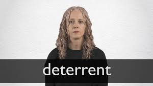 Law And Order Vocabulary