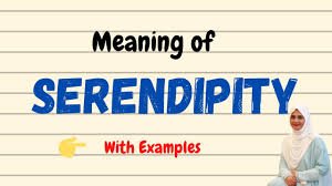 ADVANCED PICNIC VOCABULARY