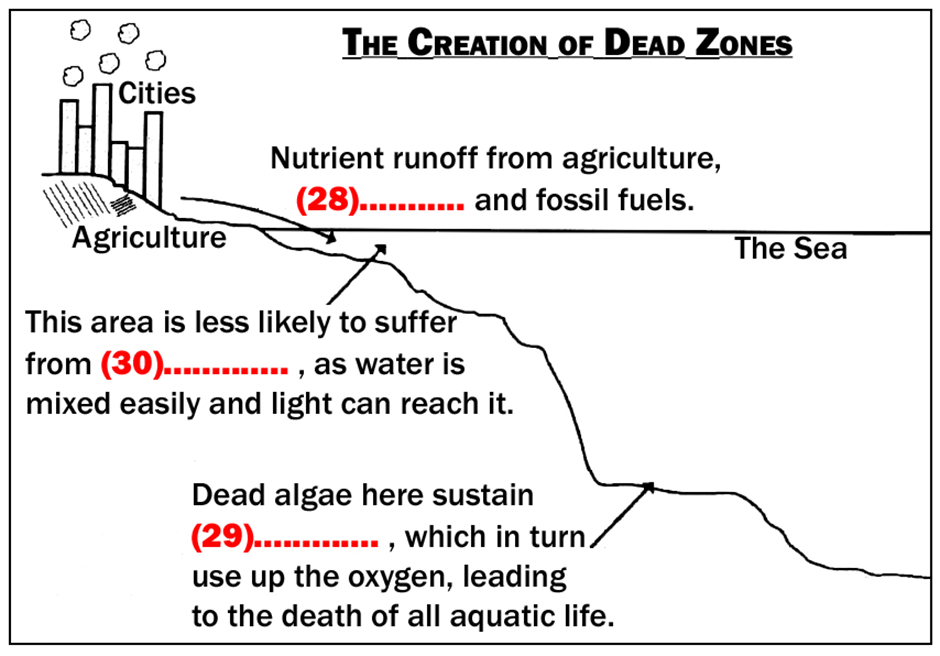 BEST IELTS General Reading Test 608