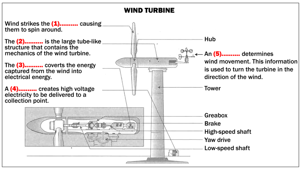 BEST IELTS Academic Reading Test 610