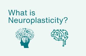 PSYCHOLOGY VOCABULARY