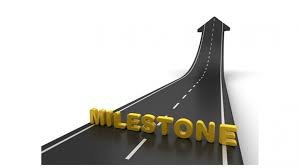 CELEBRATION VOCABULARY 11 CELEBRATION VOCABULARY