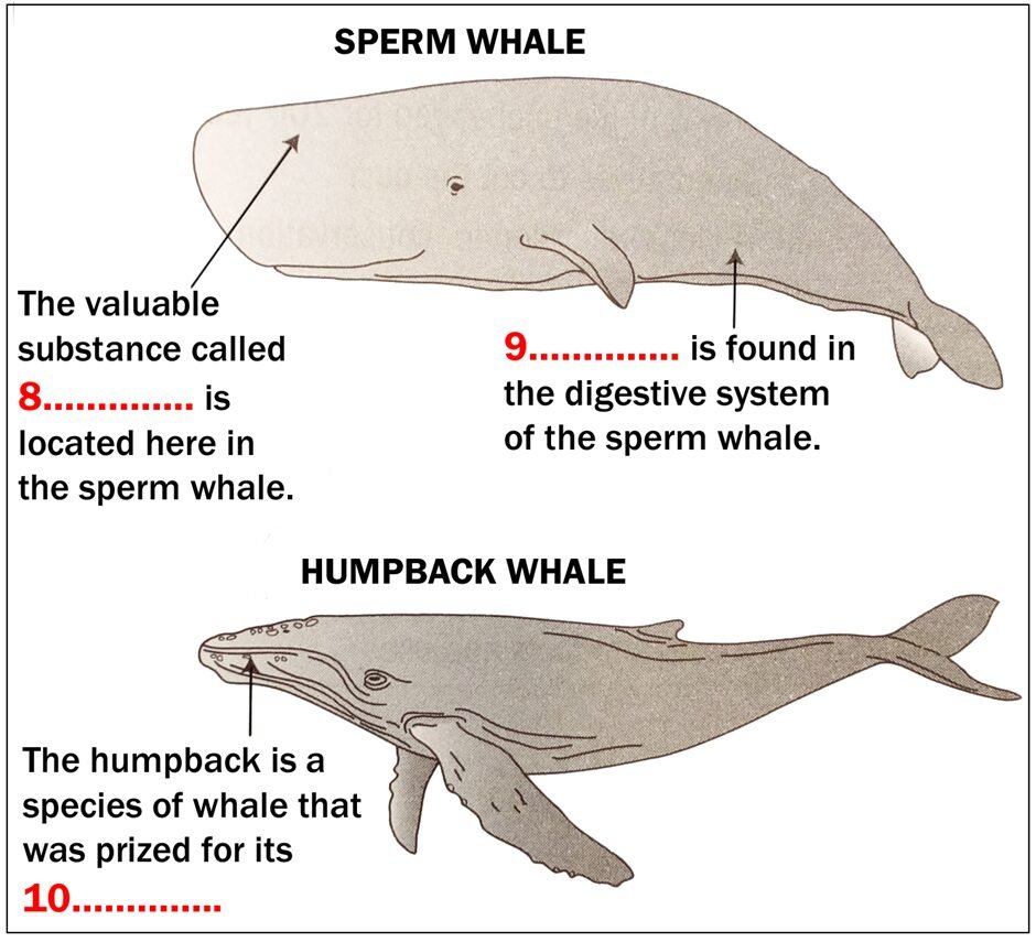 BEST IELTS Academic Reading Test 618