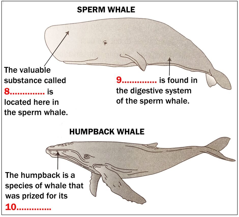 BEST IELTS Academic Reading Test 614