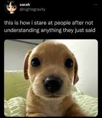 SOCIAL MEDIA VOCABULARY