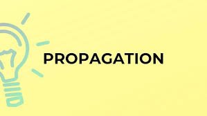 IELTS VOCABULARY 9 IELTS VOCABULARY