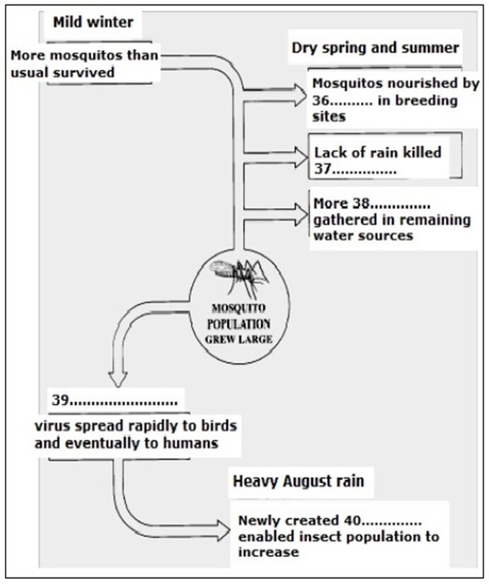 BEST IELTS Academic Reading Test 622