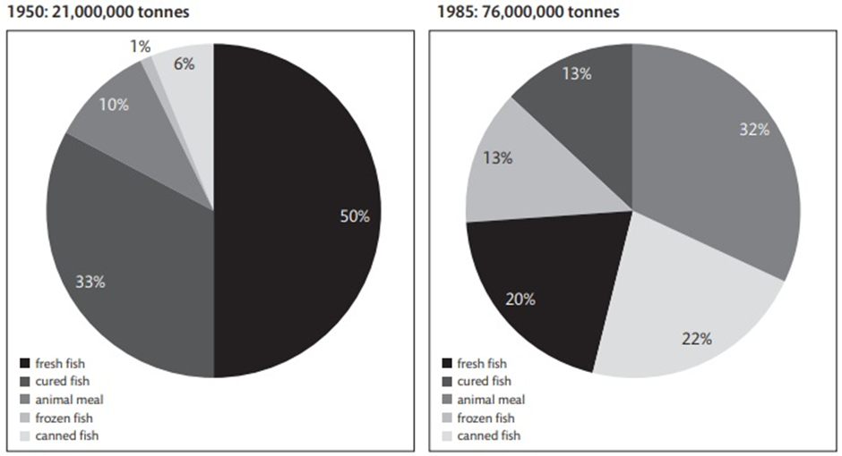 BEST IELTS Academic Writing Task 1, 10th January