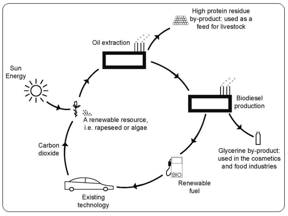 BEST IELTS Academic Writing Task 1, 15th January 2 BEST IELTS Academic Writing Task 1, 15th January