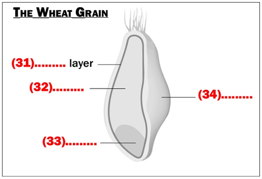 BEST IELTS General Reading Test 625 2 BEST IELTS General Reading Test 625