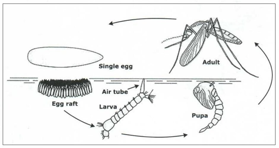 BEST IELTS Academic Writing Task 1, 21st January 2 BEST IELTS Academic Writing Task 1, 21st January