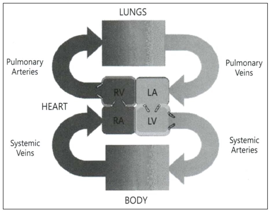 BEST IELTS Academic Writing Task 1, 22nd January 2 BEST IELTS Academic Writing Task 1, 22nd January