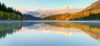 IELTS VOCABULARY 2 IELTS VOCABULARY