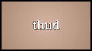 NOISE VOCABULARY 13 NOISE VOCABULARY