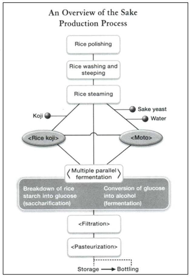 BEST IELTS Academic Writing Task 1, 9th February