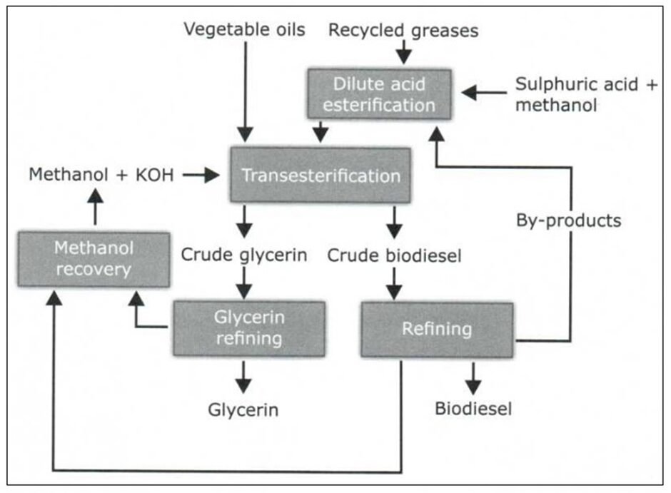 BEST IELTS Academic Writing Task 1, 11th February
