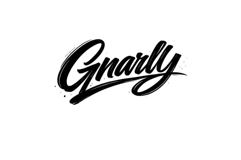 IELTS VOCABULARY 2 IELTS VOCABULARY