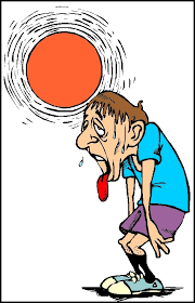 IELTS VOCABULARY 5 IELTS VOCABULARY