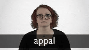 IELTS VOCABULARY 12 IELTS VOCABULARY