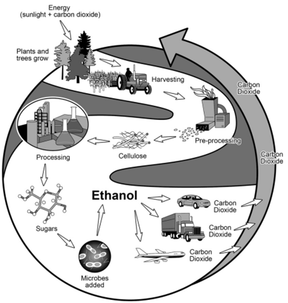 BEST IELTS Academic Writing Task 1, 7th March