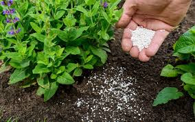 GARDEN VOCABULARY
