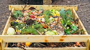 GARDEN VOCABULARY